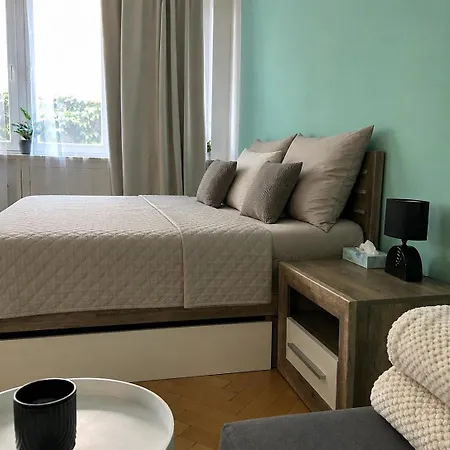Near Charles Bridge & National Theatre Apartament *